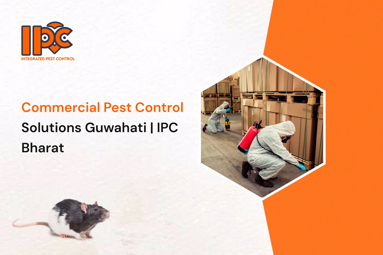 Commercial Pest Control Solutions Guwahati | IPC Bharat